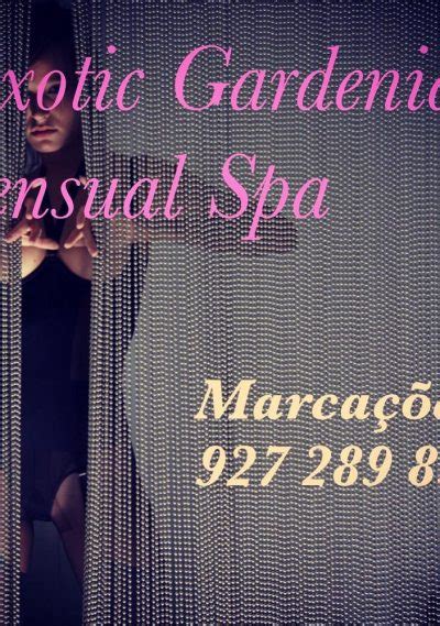 Sexual massage Porto de Moz